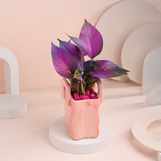 Welcome Baby Decorations