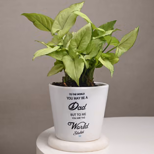 Baby Shower Decorations